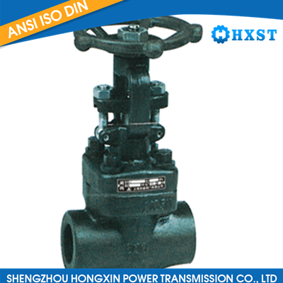 National standard forging steel gate valve